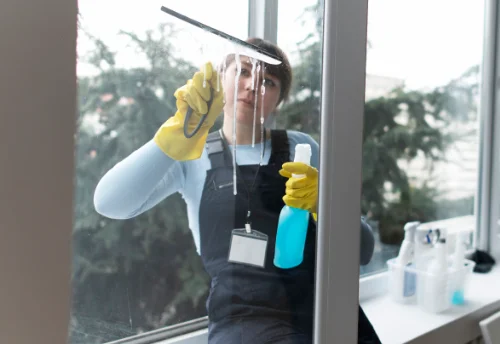 Nettoyage de vitres intérieures et extérieures à Cressia